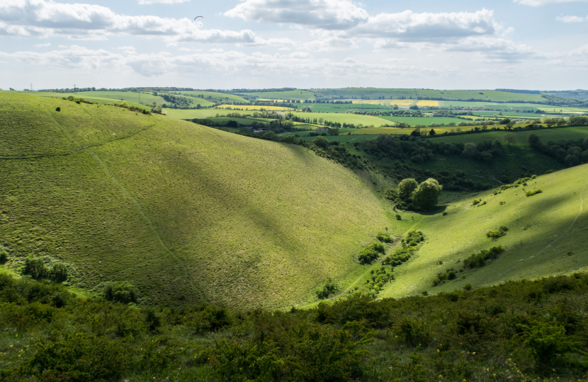 Image of South Downs National Park